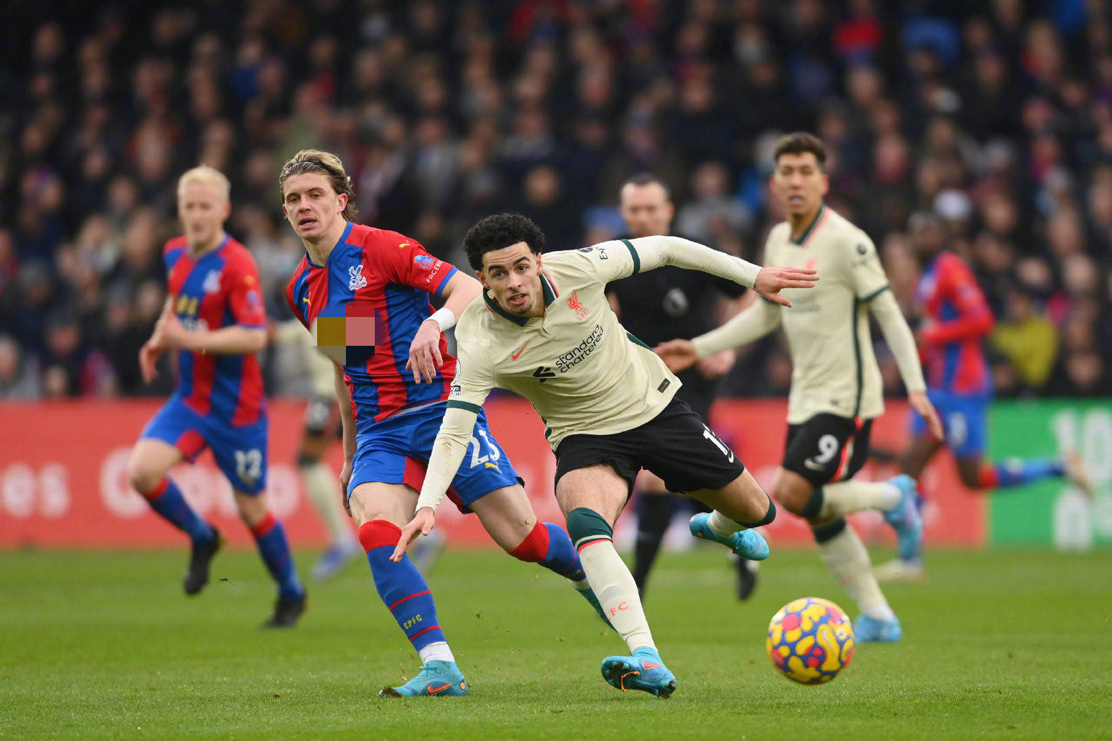 施和专业的 施和专业的