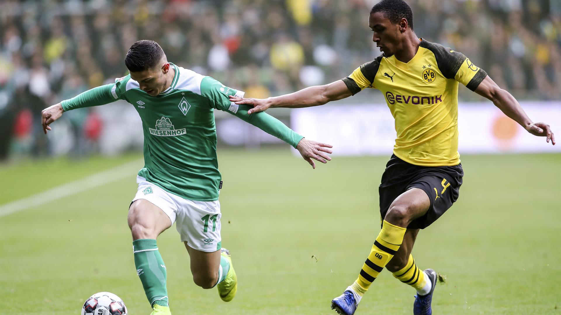 俱乐部任职 俱乐部任职